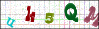 Image Verification