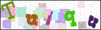 Image Verification