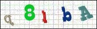 Image Verification