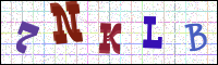 Image Verification