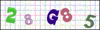 Image Verification