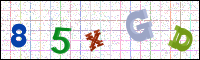 Image Verification