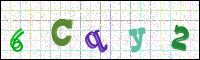 Image Verification