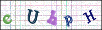 Image Verification