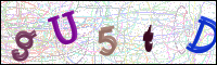 Image Verification