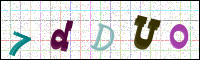 Image Verification