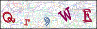 Image Verification