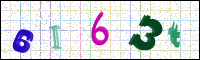 Image Verification