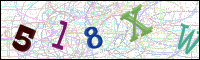Image Verification