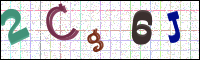 Image Verification