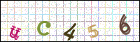 Image Verification