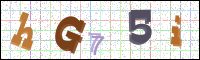 Image Verification