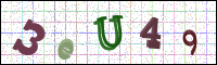 Image Verification