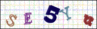 Image Verification
