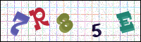Image Verification