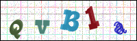 Image Verification