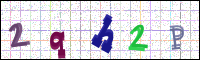 Image Verification