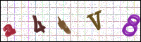 Image Verification