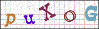 Image Verification