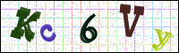 Image Verification