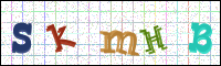 Image Verification