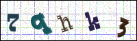 Image Verification