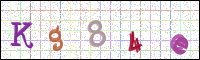 Image Verification