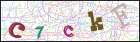 Image Verification