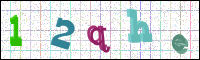 Image Verification