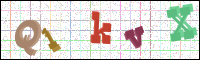 Image Verification