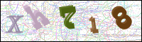 Image Verification