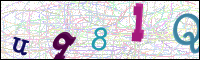 Image Verification