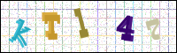 Image Verification