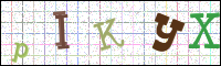 Image Verification