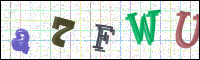 Image Verification