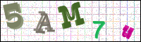 Image Verification