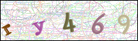 Image Verification
