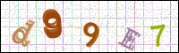 Image Verification
