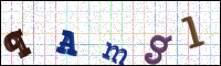 Image Verification