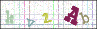 Image Verification