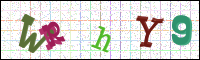 Image Verification