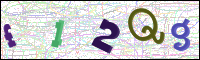 Image Verification