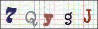 Image Verification