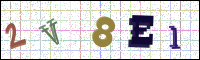Image Verification
