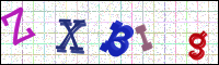 Image Verification