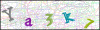 Image Verification