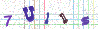Image Verification