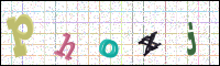 Image Verification