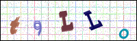 Image Verification