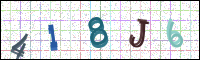 Image Verification